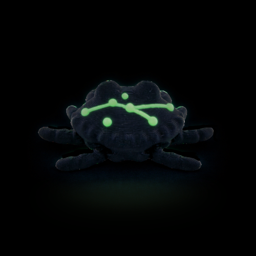 Redd the Crab Constellation Edition with glow-in-the-dark galaxy shell featuring Cancer zodiac constellation pattern