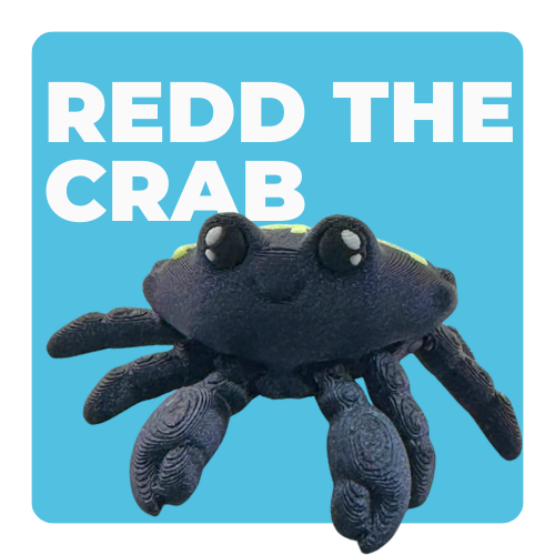 Redd the Crab Constellation Edition with glow-in-the-dark galaxy shell featuring Cancer zodiac constellation pattern